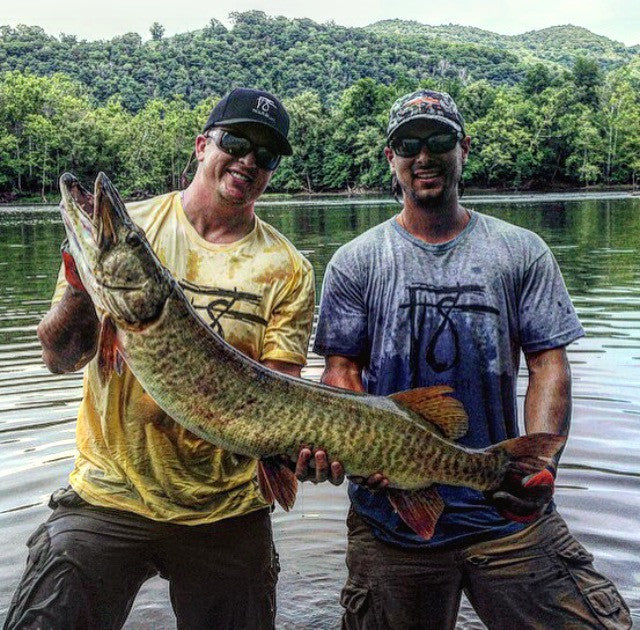 Super Soft Cottons – FIGUREIGHT Musky Gear