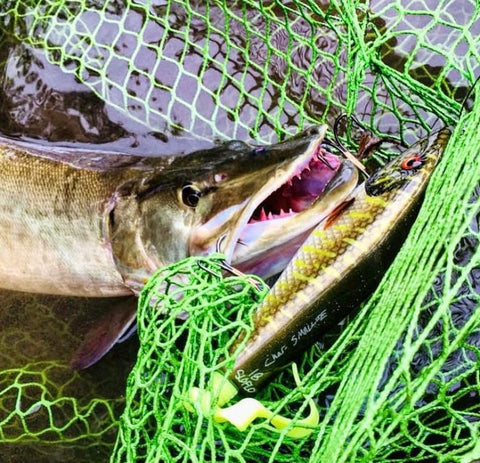 big net fishing rs Solo Slimer Net | F8